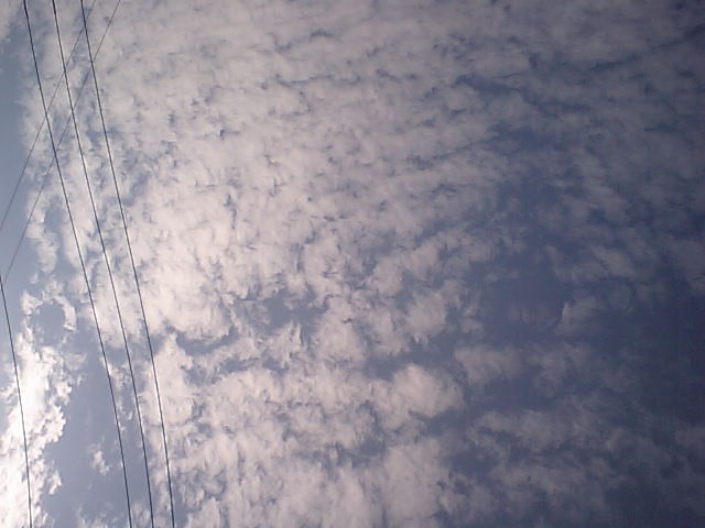 2007/11/05 東京某所の空模様