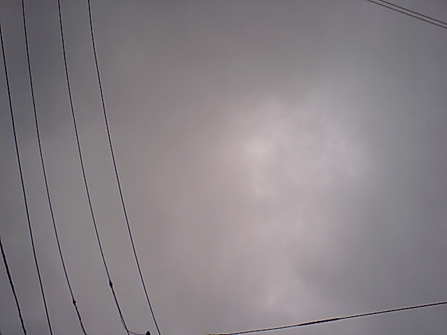 20070813 見ての通り曇り空です。